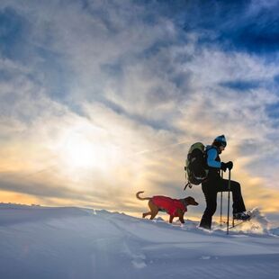 Winter-Spaß mit Ihrem Hund im Adler Resort