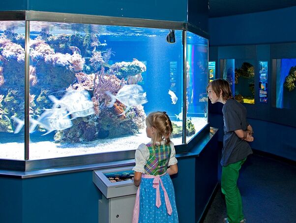Besuchen Sie das Haus der Natur in Saalbach Hinterglemm.