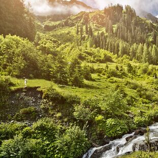 Wandern in der Natur von Saalbach Hinterglemm
